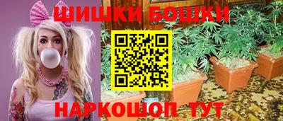 гашик Кинель