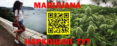 гашик Кинель