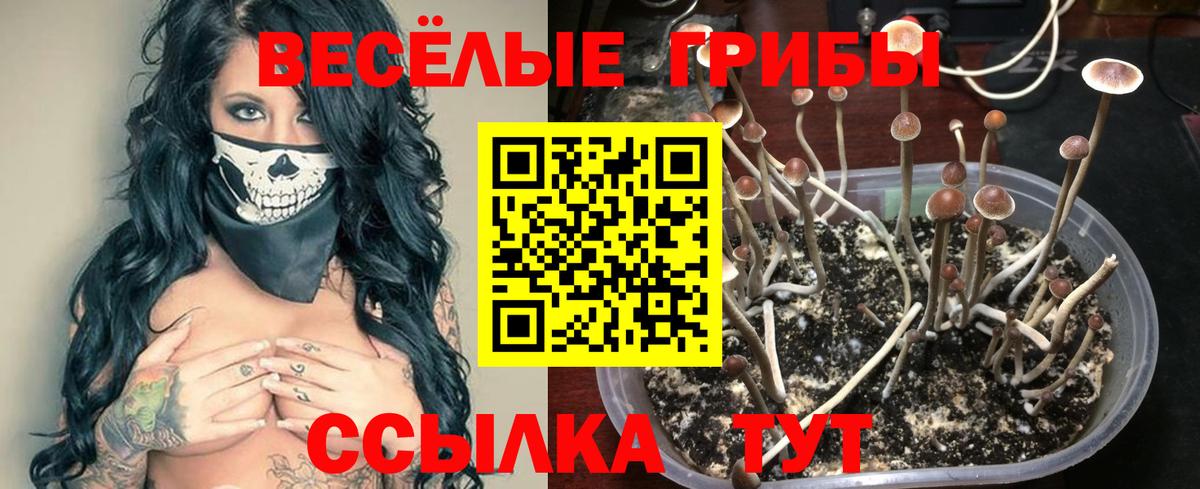 Псилоцибиновые грибы ЛСД Тверь