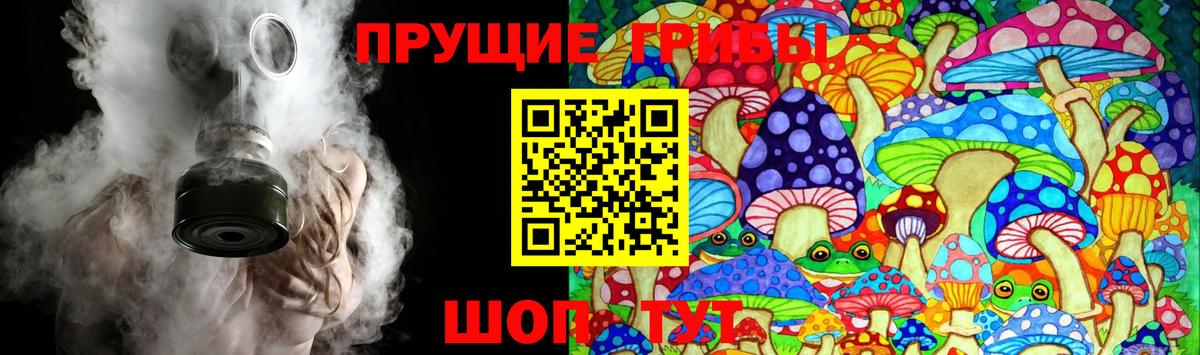 Галлюциногенные грибы Cubensis  Вход с VPN  Тверь  Псилоцибиновые грибы Magic Shrooms 